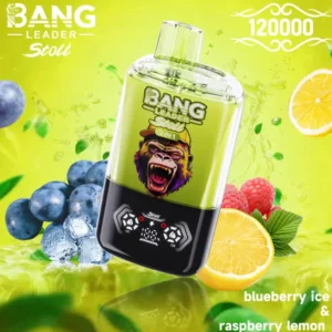 %s Egyszerhasználatos E-cigaretta | VapeHr Magyarország