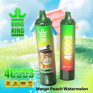 %s Egyszerhasználatos E-cigaretta | VapeHr Magyarország